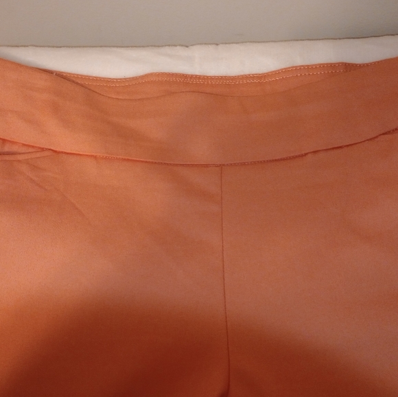 Shorts - Picture 4 of 4